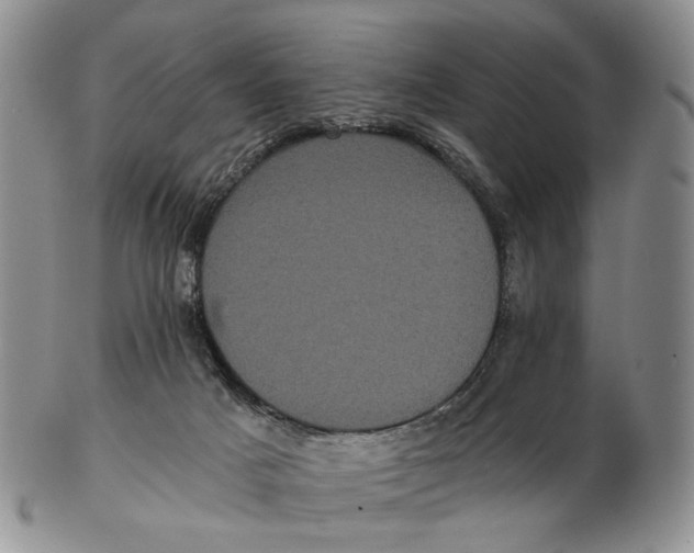 X0000102800025200809081122