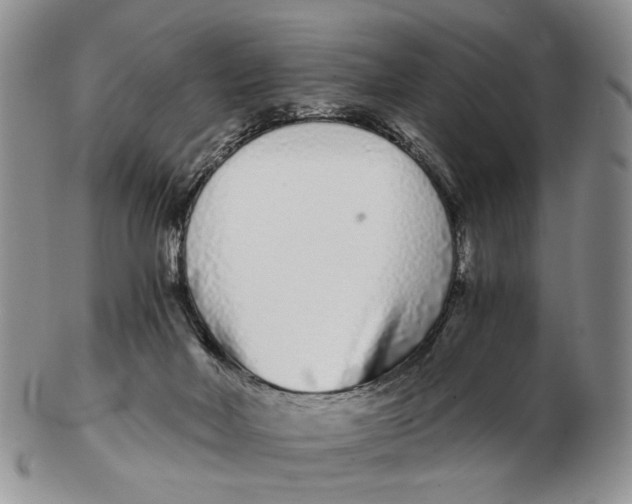 X0000102800026200809081122