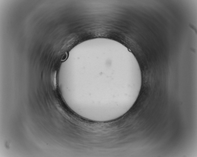 X0000102800028200809081122