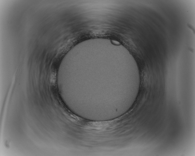 X0000102800033200809081122