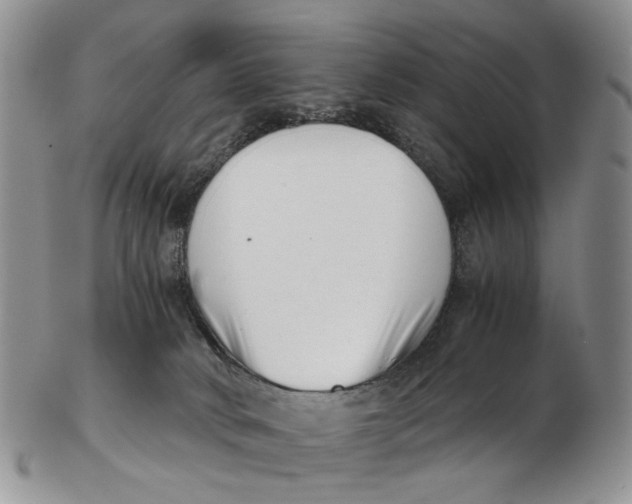 X0000102800034200809081122