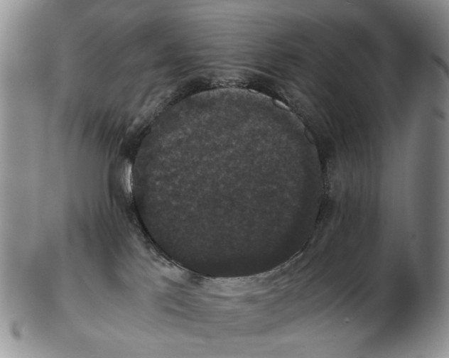 X0000102800041200809081122