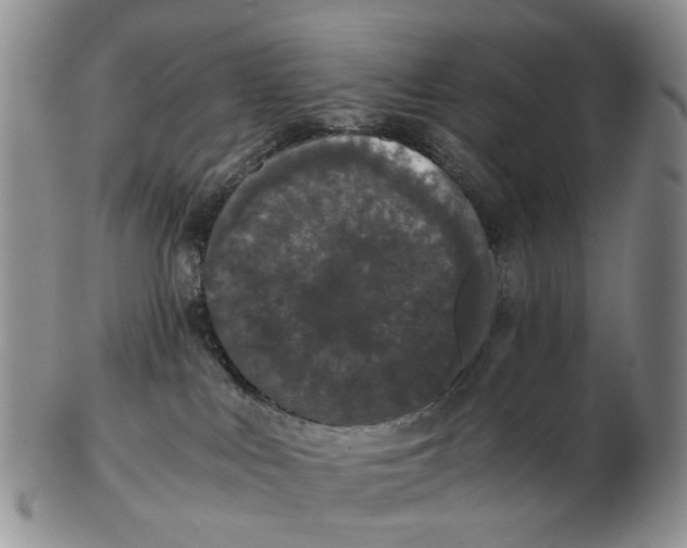 X0000102800043200809081122