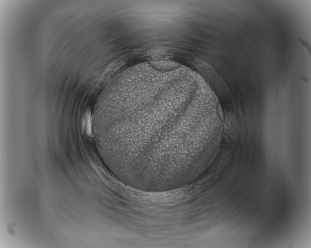 X0000102800046200809081122