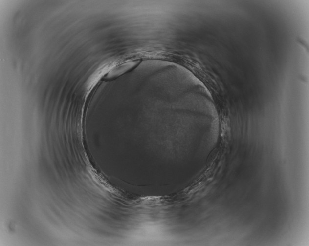 X0000102800052200809081121