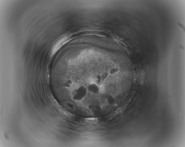 X0000102800053200809081121