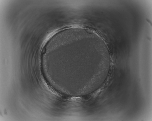 X0000102800055200809081121