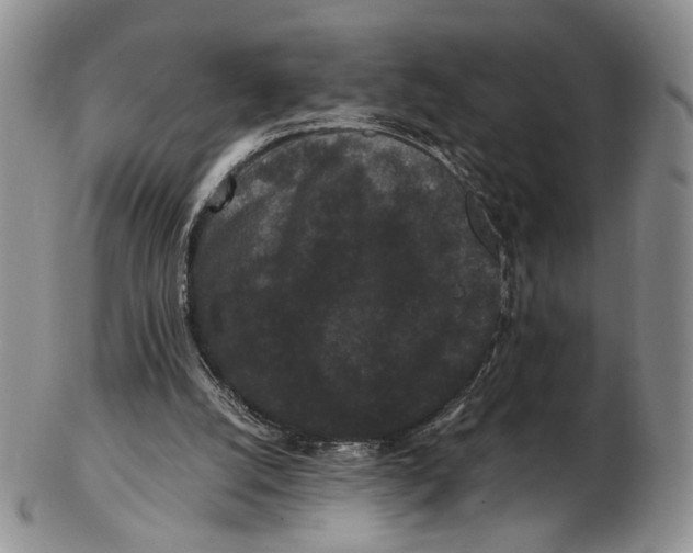 X0000102800056200809081121