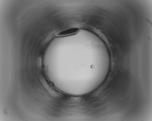 X0000102800057200809081121