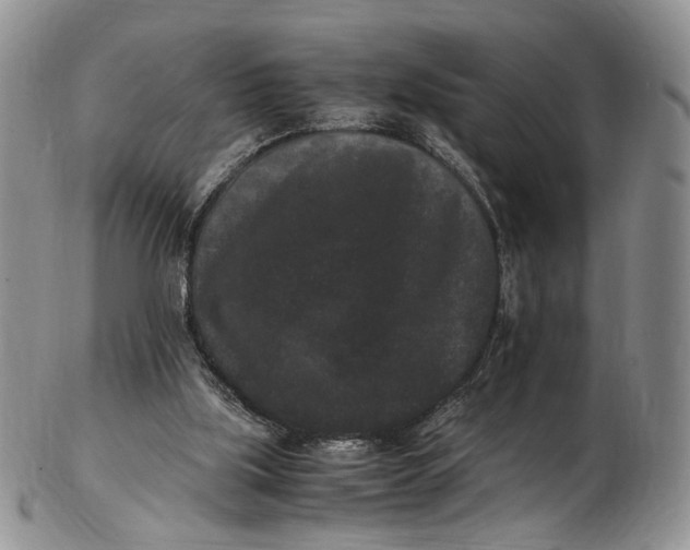 X0000102800059200809081121