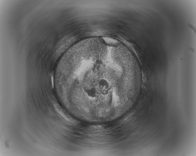 X0000102800061200809081121