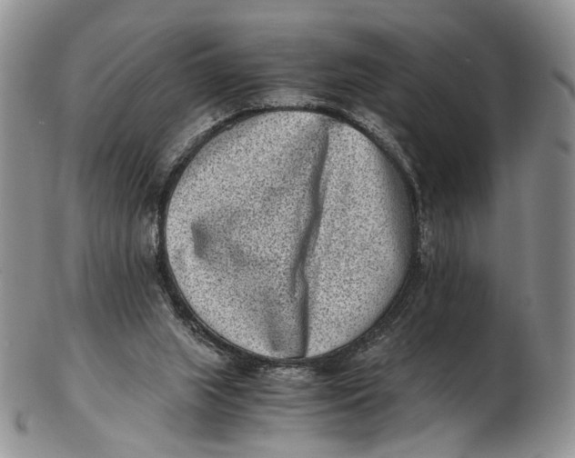 X0000102800063200809081121