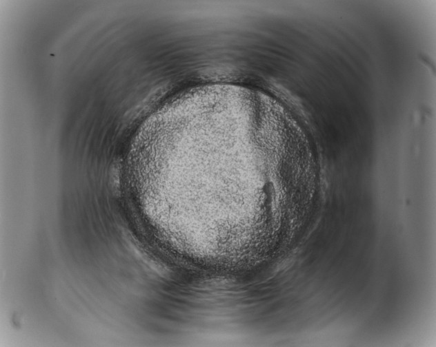 X0000102800065200809081121