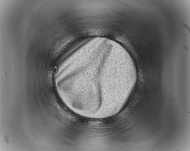 X0000102800066200809081121