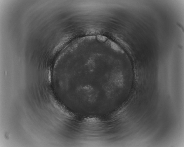 X0000102800067200809081121