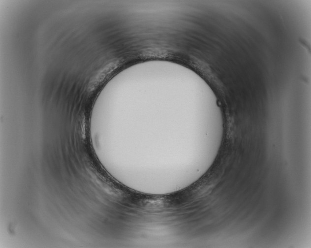 X0000102800068200809081121