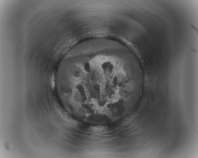 X0000102800069200809081121