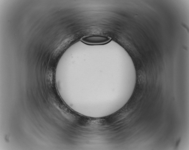 X0000102800072200809081121