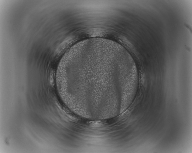 X0000102800074200809081121