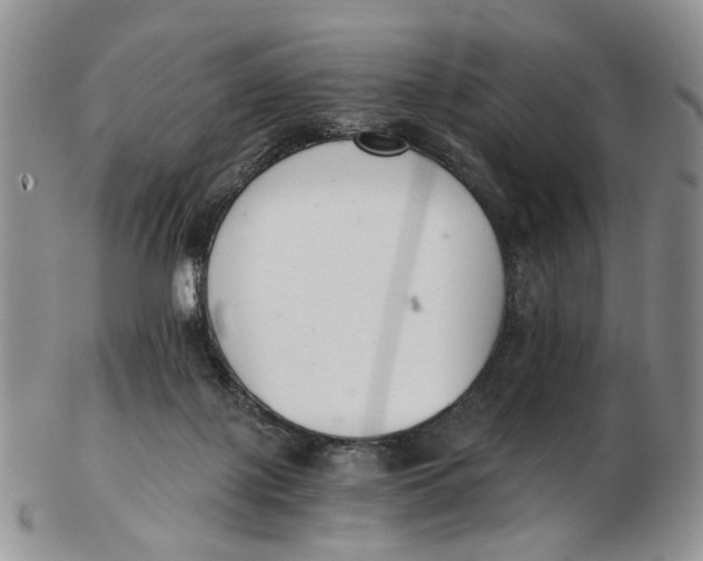 X0000102800075200809081121