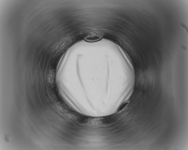 X0000102800078200809081121