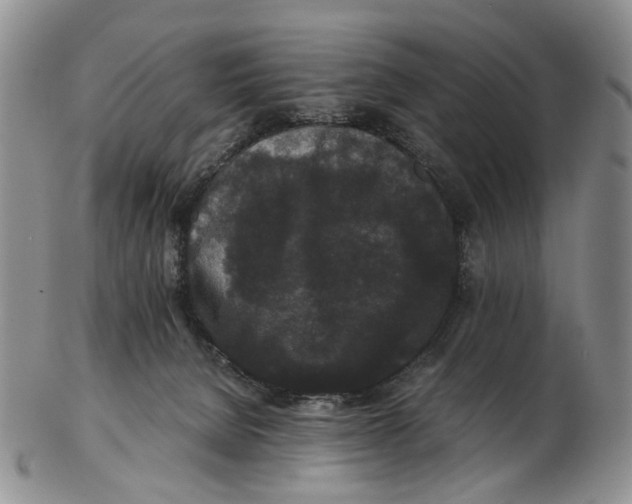 X0000102800080200809081121