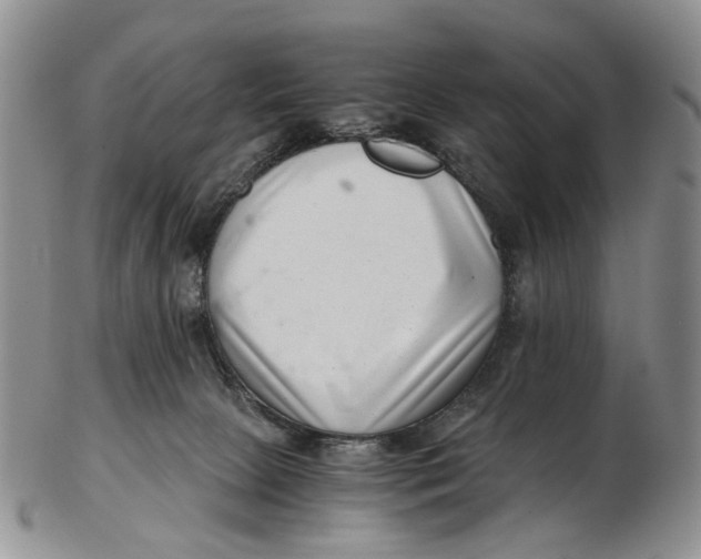 X0000102800081200809081121