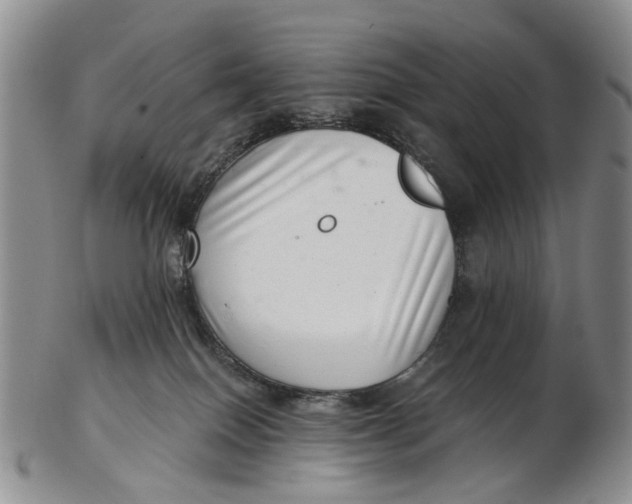 X0000102800086200809081121