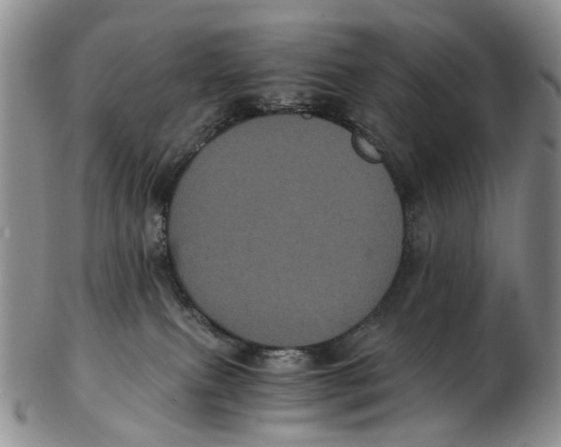 X0000102800087200809081121