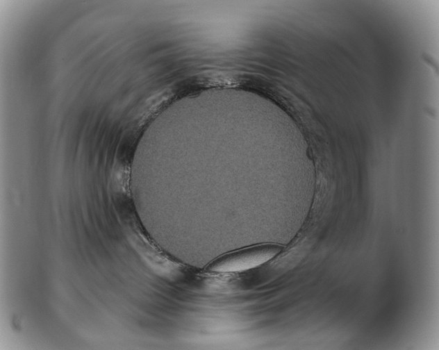 X0000102800096200809081122