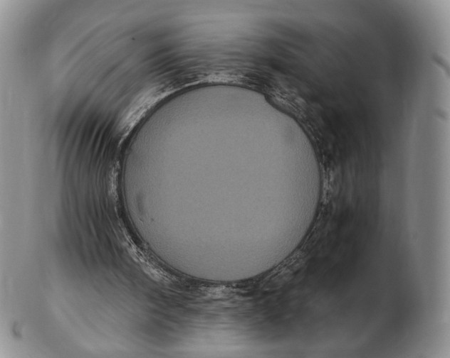 X0000102800098200809081121