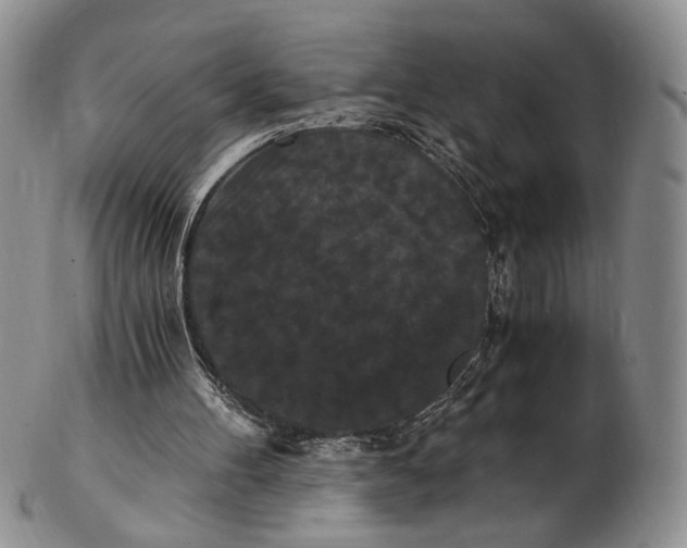 X0000102800100200809081121