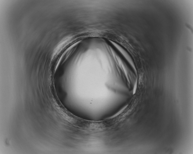 X0000102800101200809081121