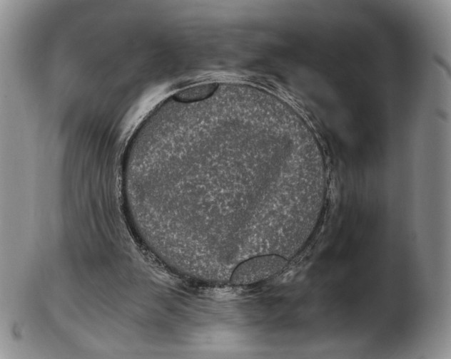 X0000102800103200809081121