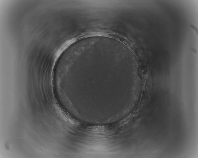 X0000102800104200809081121