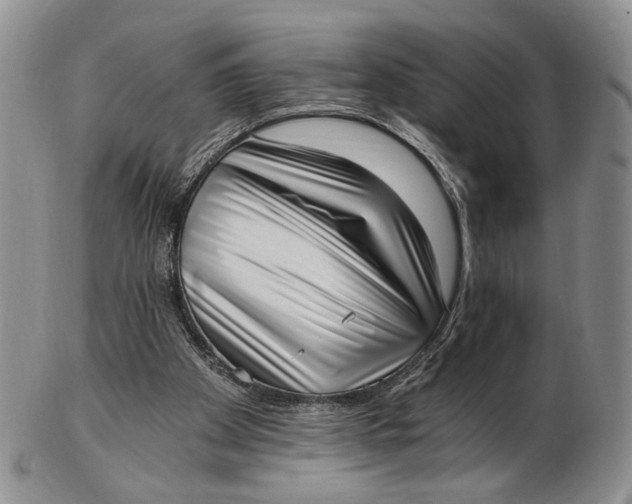 X0000102800105200809081121