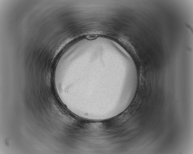 X0000102800108200809081121