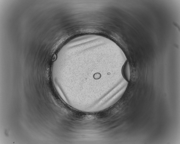 X0000102800111200809081121