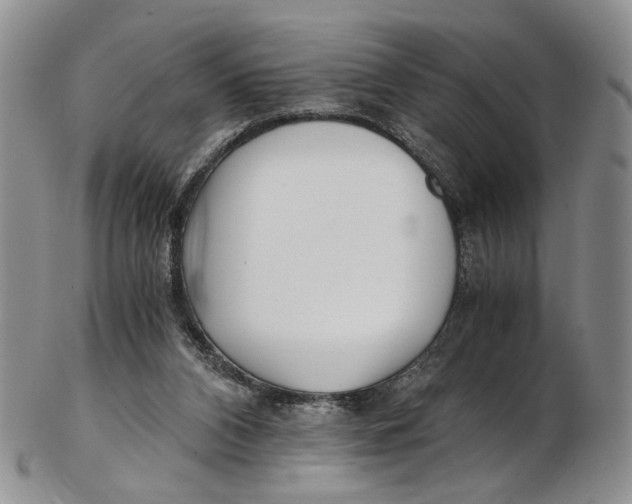 X0000102800112200809081121