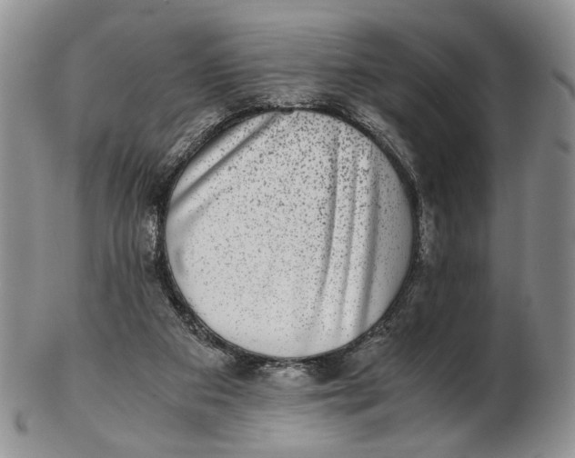 X0000102800113200809081121