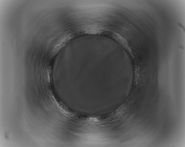 X0000102800114200809081121