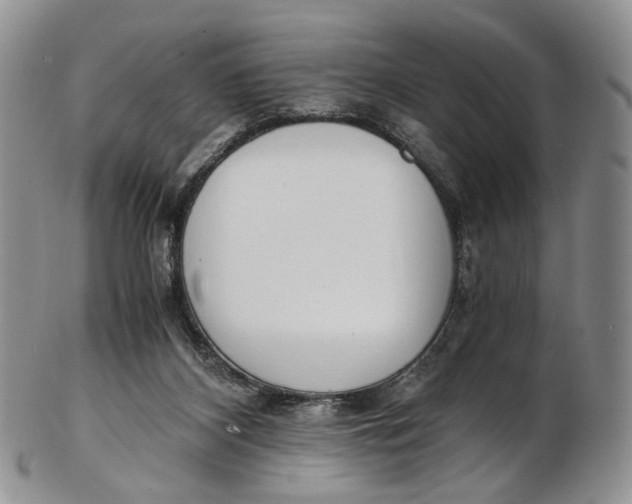 X0000102800116200809081121