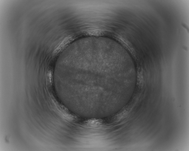 X0000102800117200809081121