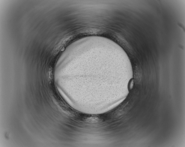 X0000102800119200809081121