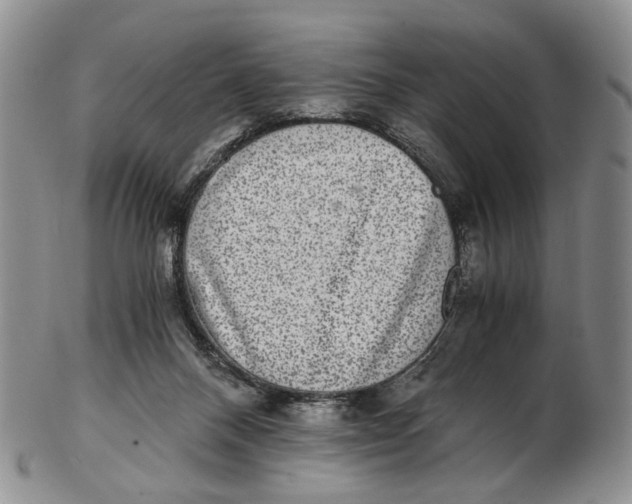 X0000102800120200809081121