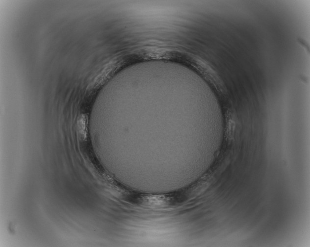 X0000102800121200809081121