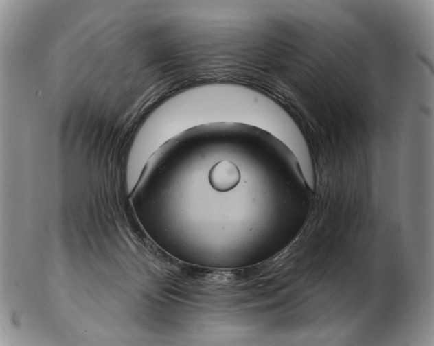 X0000102800124200809081121