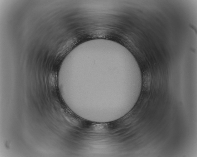 X0000102800126200809081120