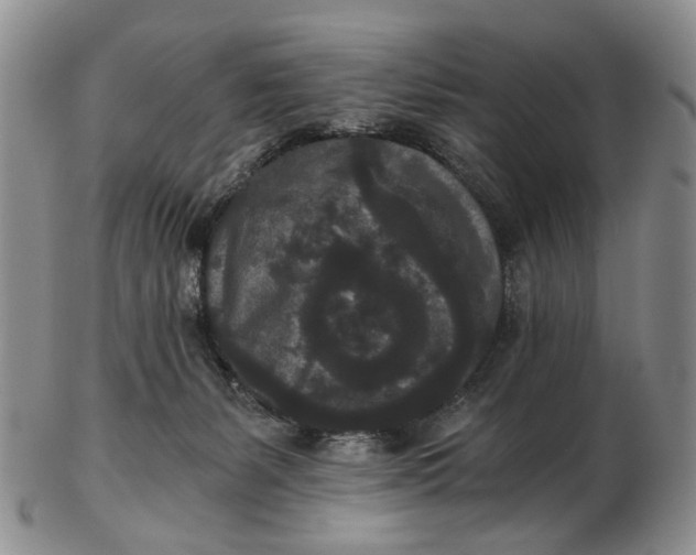 X0000102800127200809081120