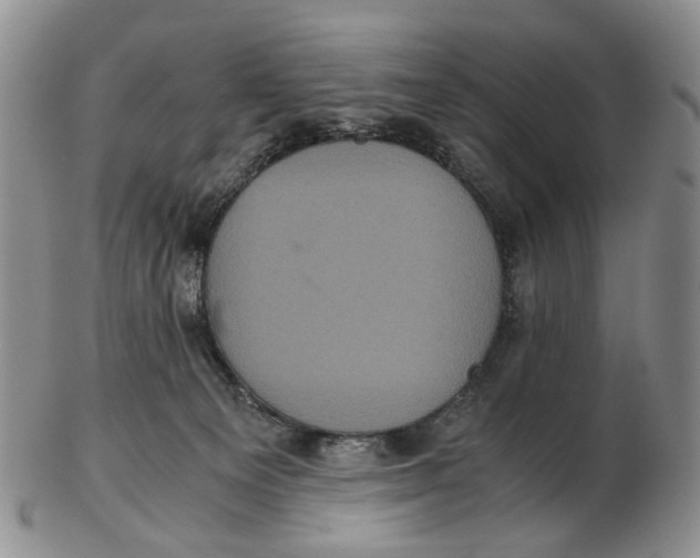 X0000102800129200809081120